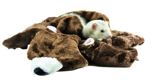 Marshall Bear Rug for Small Animals Brown - Small - Pet