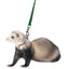 Marshall Ferret Harness and Lead Set Black - Small - Pet