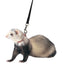 Marshall Ferret Harness and Lead Set Blue - Small - Pet