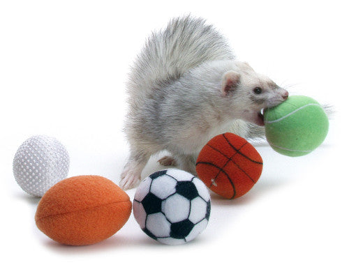 Marshall Ferret Sport Balls Assorted 2 in Pack - Small - Pet
