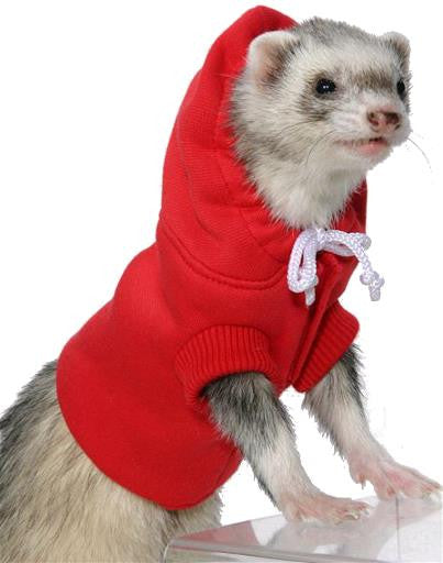 Marshall Pet Ferret Sweater {L + 1} 665030 - Small - Pet