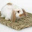 Marshall Woven Grass Mat for Small Animals Yellow