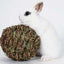 Marshall Woven Grass Play Ball for Small Animals Light Green - Small - Pet