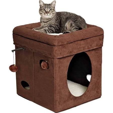 Midwest Curious Cat Cube by Feline Nuvo {L-1}277100 027773018087