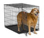 Midwest lb 1542 iCrate with Divider Panel 42LX28WX30H {L - 1}277714 - Dog