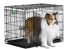 Midwest lb1530DD iCrate Double Door with Divider 30LX19WX21H {L - 1}277722 - Dog