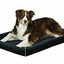 Midwest Quiet Time Maxx Bed Black 23x18 {L - 1}277223 - Dog