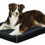 Midwest Quiet Time Maxx Bed Black 30x21 {L - 1}277226 - Dog