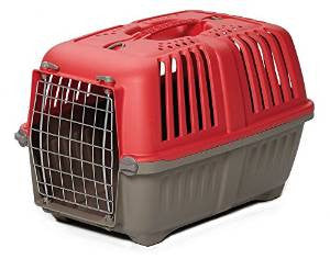 Midwest Spree Green Pet Carrier 19" {L-1}277027 027773019558