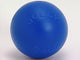 Jolly Pet Push-n-Play Plastic Dog Toy Blue Large, 10 in 788169031027