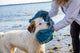 Dogs Gone Smart Dirty Dog Shammy Pacific Blue 13In X 31 in 849670018577