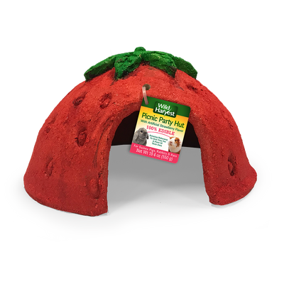 Wild Harvest Picnic Party Strawberry Hut for Small Animals 026851992790
