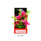 Aquatop Vibrant Passion Plant Rose 6 in 810074880107
