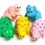 Multipet Pigs That Oink Dog Toy Assorted 9