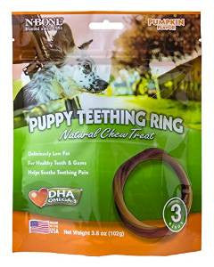 N - Bone Puppy Teething Ring Pumpkin Flavor 3 Pack {L + 1} 575019 - Dog