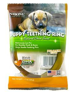 N-Bone Puppy Teething Ring Pumpkin Flavor Single 12 Count {L+1} 575018 657546113000
