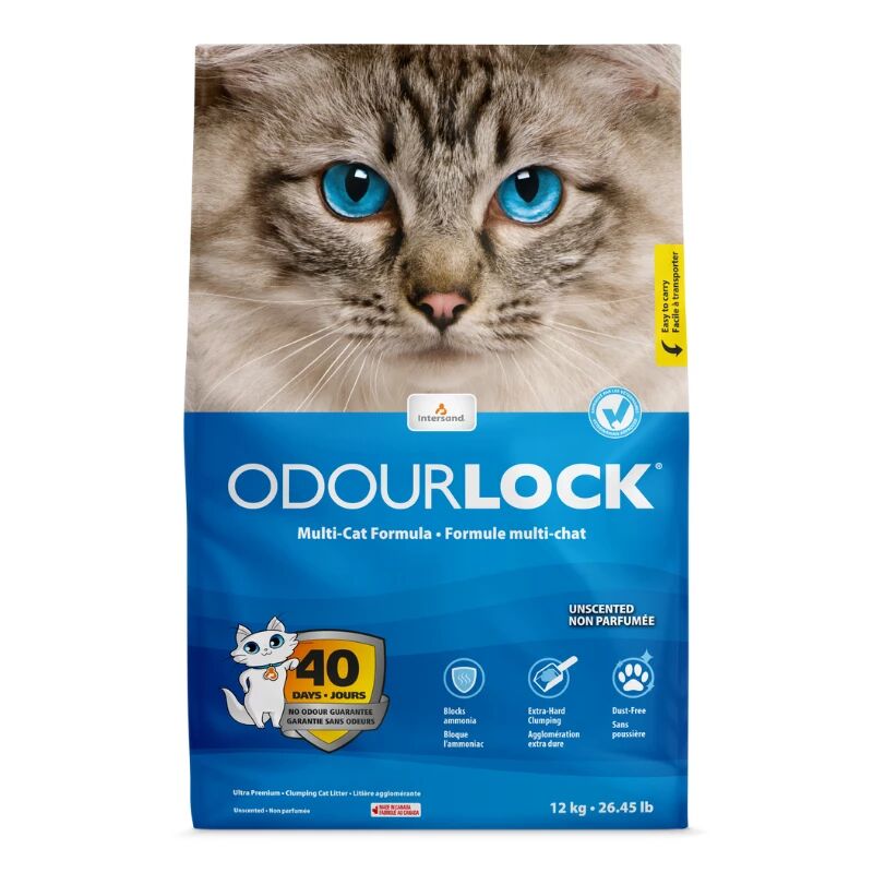 Intersand Odor Lock Store Use Bulk Bag Cat Litter 40 lb 777979564009