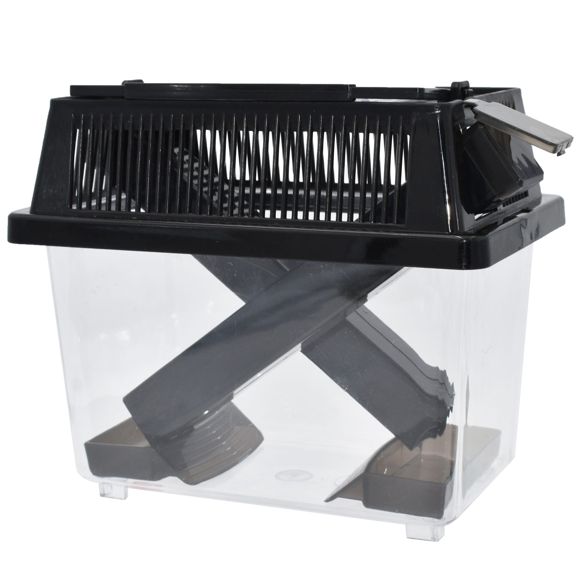 Komodo Cricket Keeper Box 7 in, Small 784369934519