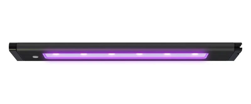 Aqua Illumination Blade Smart LED Strip Coral Glow 48 in 704335294843