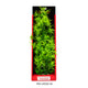 Aquatop Vibrant Garden Plant Green 16 in 810074880374