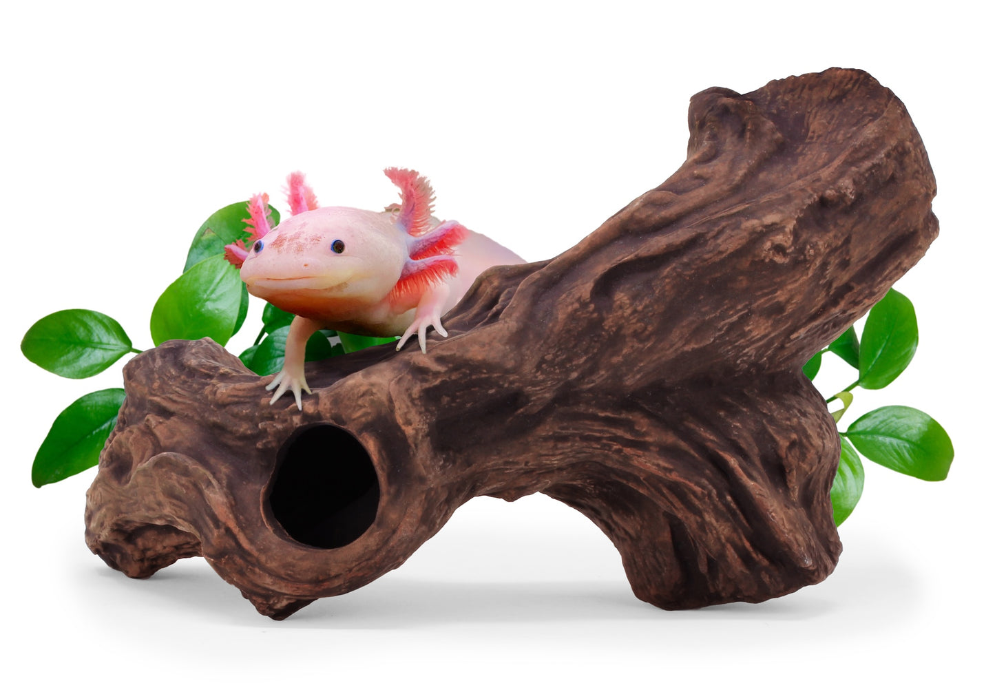 aquavitro Ceramic Hides Aquatic Ornament B3 000116070973