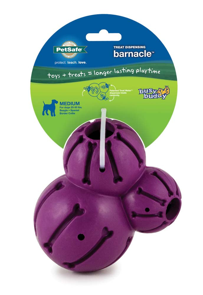 Busy Buddy Barnacle Dog Toy Purple Medium 759023096155