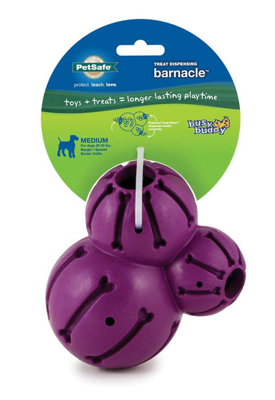 Busy Buddy Barnacle Dog Toy Purple Medium 759023096155