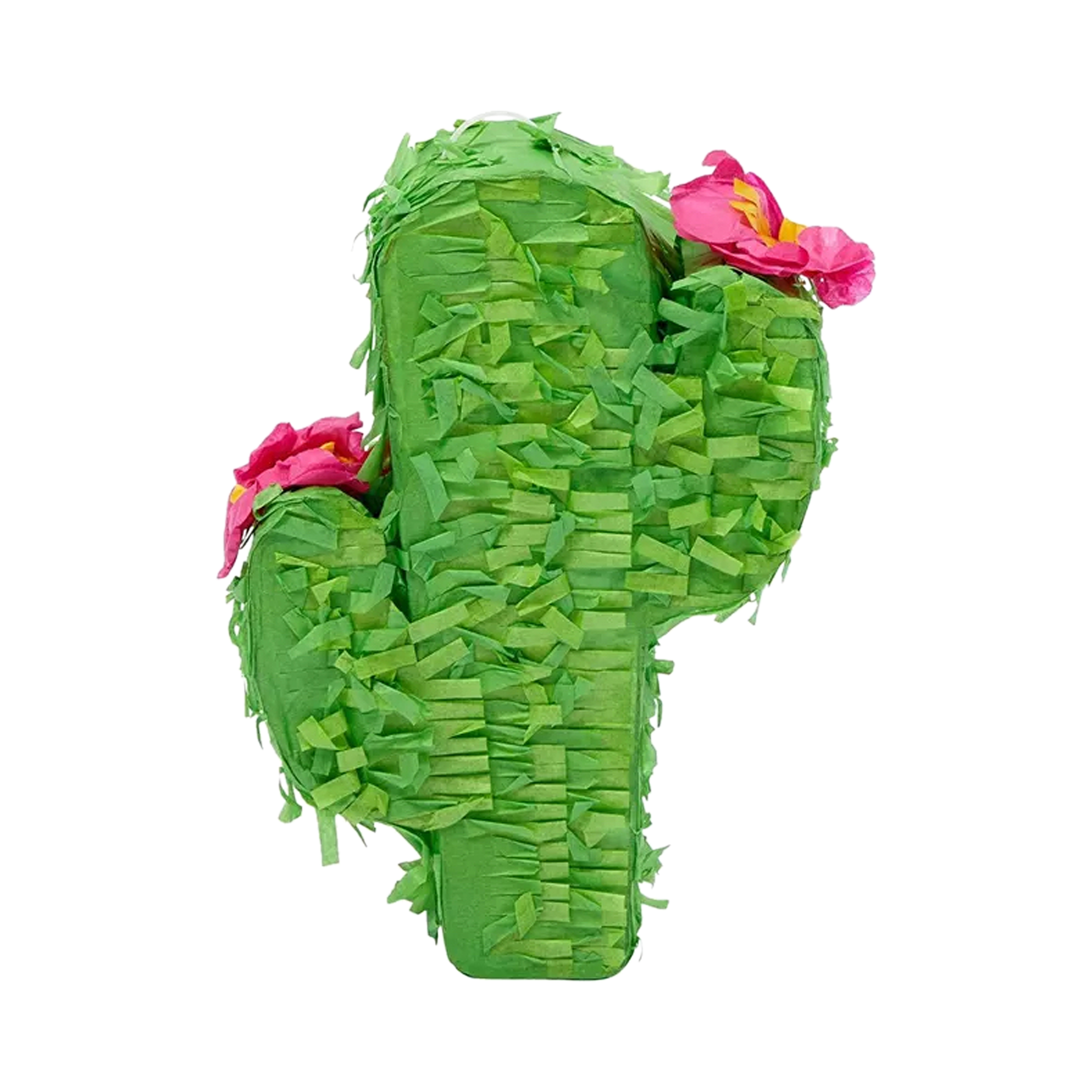 A & E Cages Happy Beaks Prefilled Pinata Foraging Bird Toy Cactus 1.8 oz 644472003284