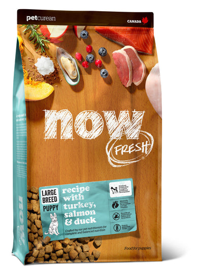 Now Fresh Grain Free Large Breed Puppy Recipe 12 lb 815260004541