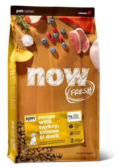 Now Fresh Grain Free Puppy Recipe 22 lb - Dog