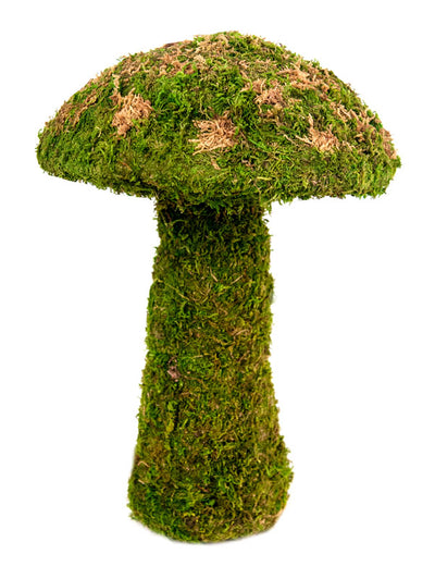 Galapagos Moss Mushroom Decorative Terrarium Ornament Fresh Green 14 in, Medium 759834552727