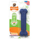 Nylabone Moderate Chew FlexiChew Dental Toy Chicken Medium/Wolf (1 Count) - Dog