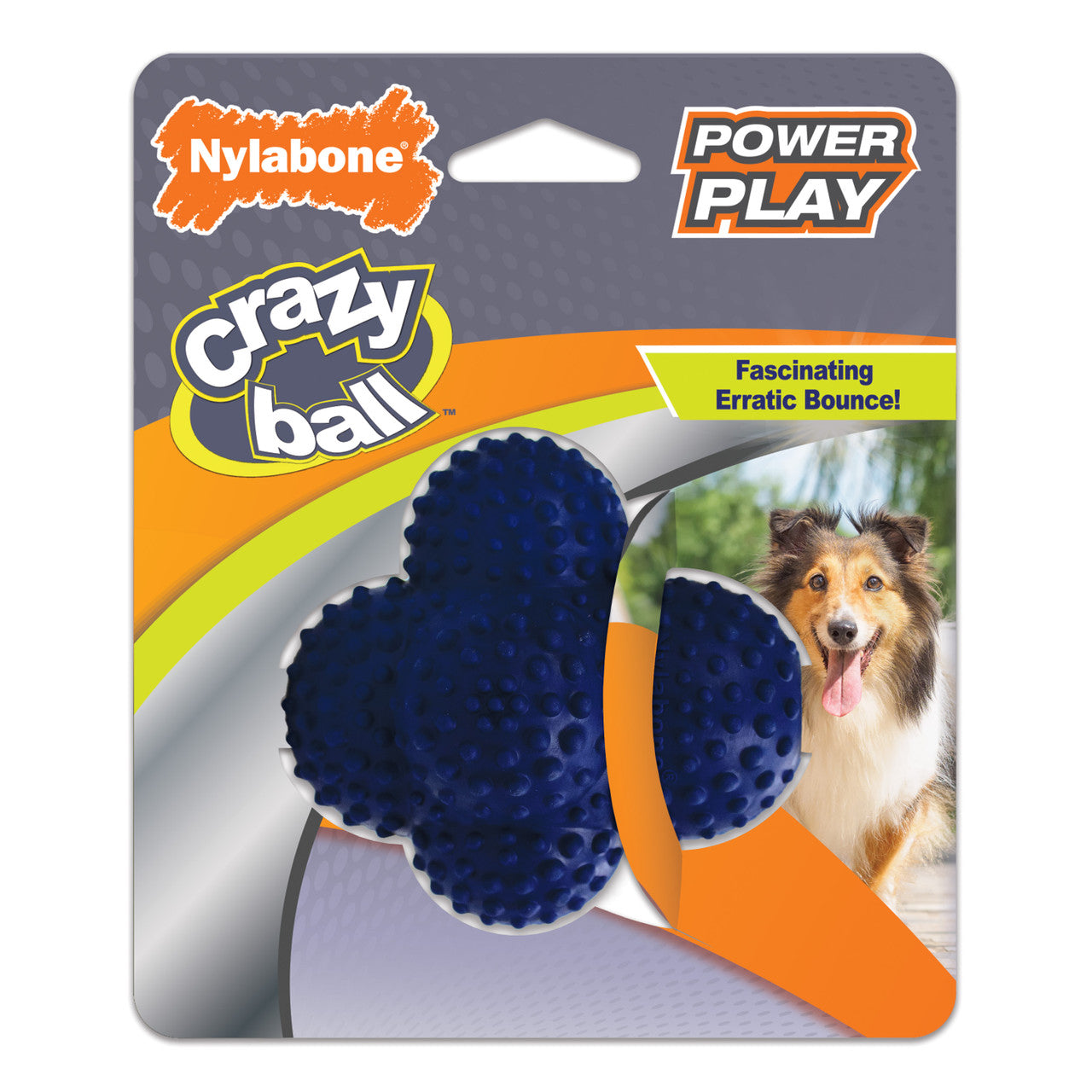 Nylabone Power Play Ball for Dogs Crazy Ball Large (1 Count)