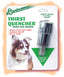 Oasis Thirst Quencher Faucet Dog Drinker Silver