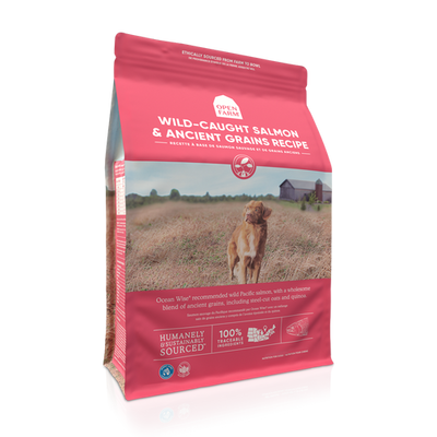 Ofrm D Anct Grain Wld Smn 11# - Dog