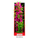 Aquatop Vibrant Passion Plant Pink 16 in 810074880213
