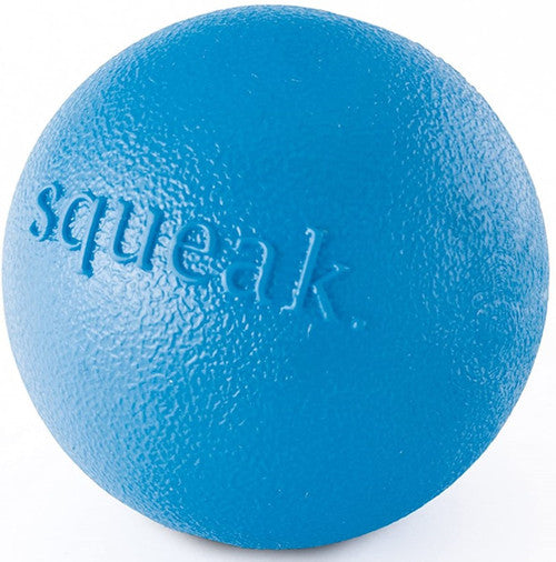 Outward Hound Squeak Ball Dog Toy Blue