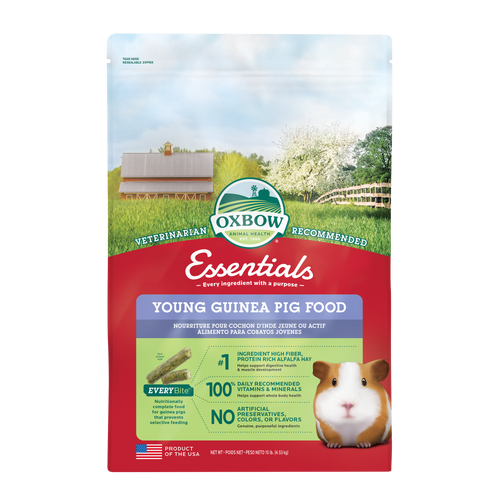 Oxbow Animal Health Essentials Young Guinea Pig Food 10lb - Small - Pet