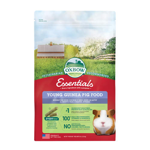Oxbow Animal Health Essentials Young Guinea Pig Food 5lb - Small - Pet