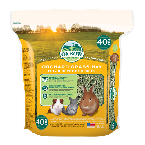Oxbow Animal Health Orchard Grass Hay 40oz - Small - Pet