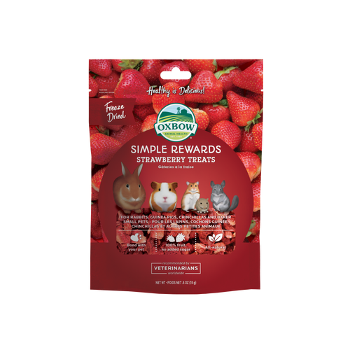 Oxbow Animal Health Simple Rewards Freeze Dried Strawberry Small Treats.5oz - Small - Pet