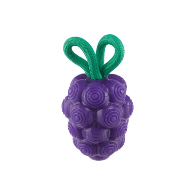 Outward Hound Dental Grapes Dental Chew Toy and Interactive Treat Stuffer Medium 700603715331