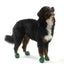 Pawz Dog Boots 12 pk. Extra Large {L+1x} 975106 897515001062