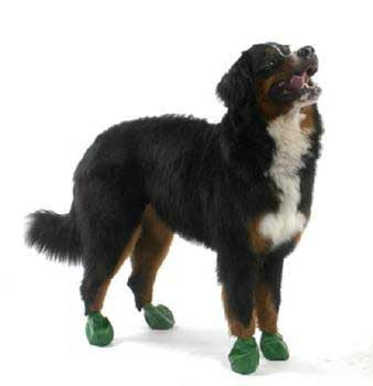 Pawz Dog Boots 12 pk. Extra Large {L+1x} 975106 897515001062