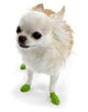 Pawz Dog Boots - 12 pk. Tiny {L + 1x} 975100