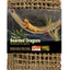 Penn - Plax Corner Lizard Lounger Climbing & Resting Mat Brown 29in X 7in XL - Reptile