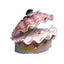 Penn-Plax Tropical Clam Air Aquarium Ornament White, Pink