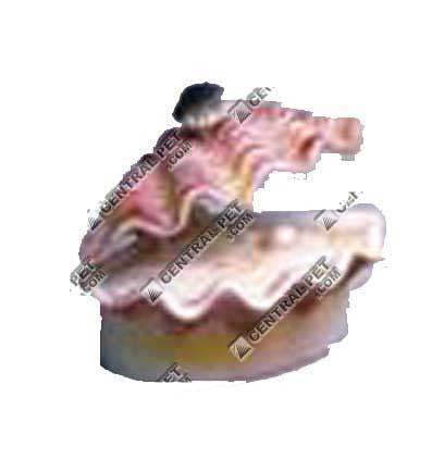 Penn-Plax Tropical Clam Air Aquarium Ornament White, Pink