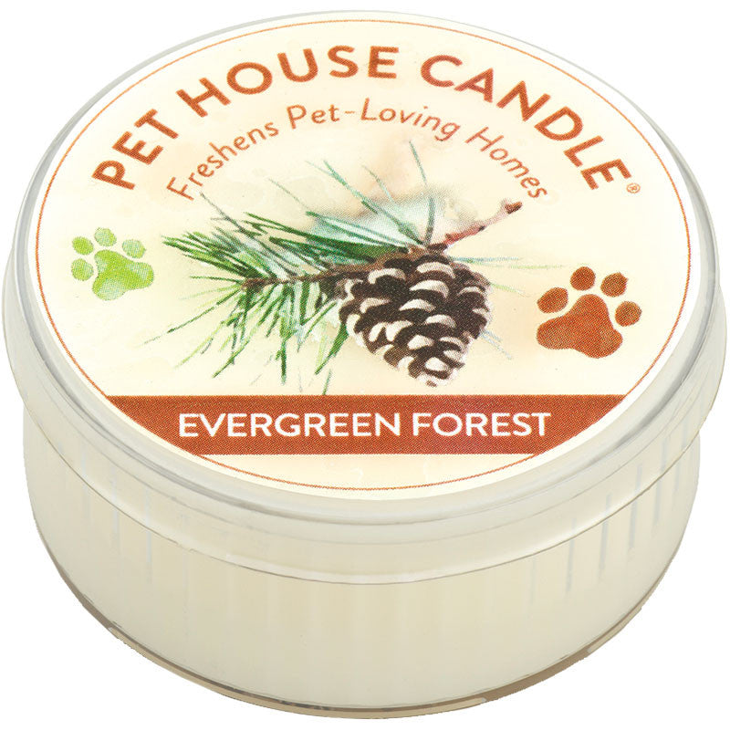 Pet House Other Candle Evergreen Forest Mini 731236221579