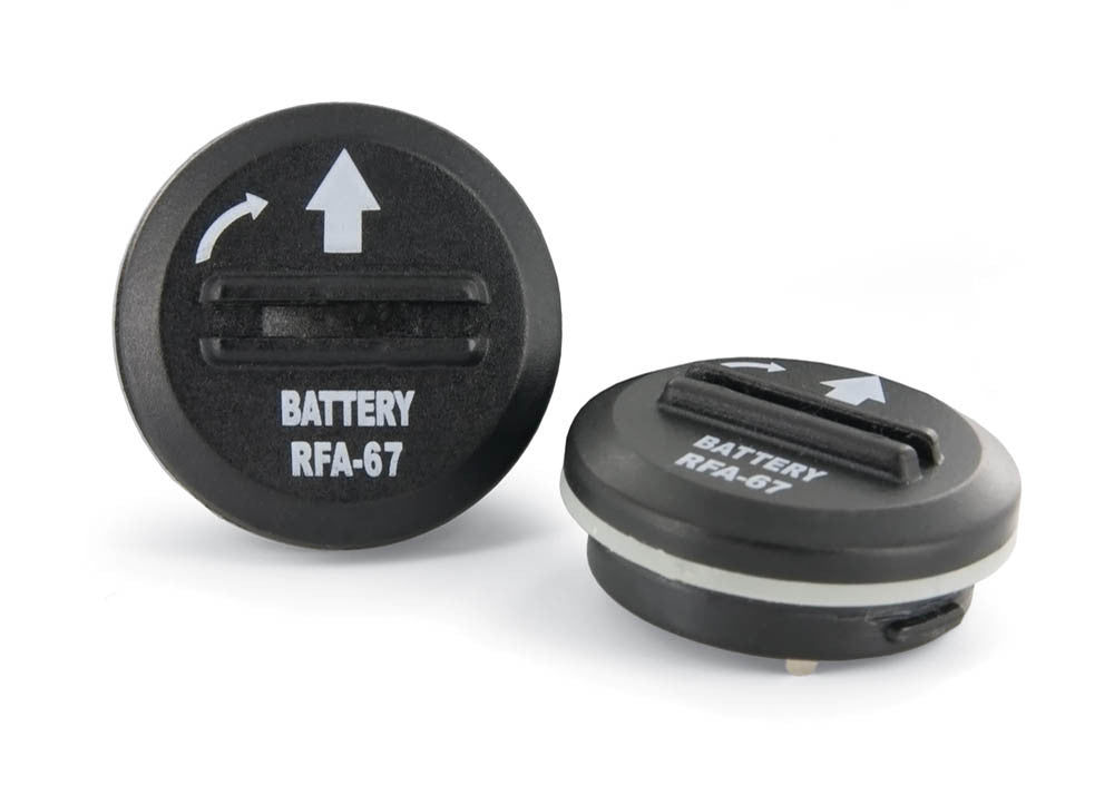PetSafe 6 Volt Lithium Battery Black 2 Count